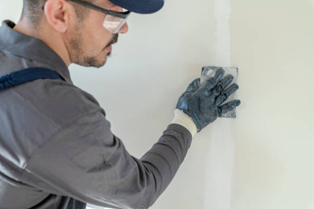 Professional Mold Removal in Rayville, LA